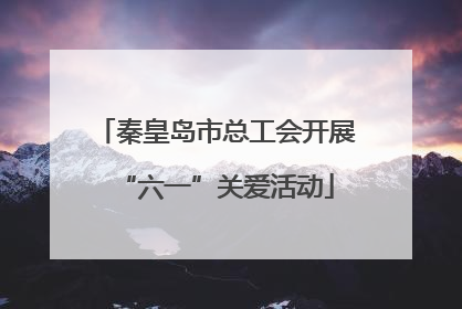 秦皇岛市总工会开展“六一”关爱活动