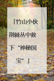 竹山小伙荆棘丛中救下“神秘国宝”