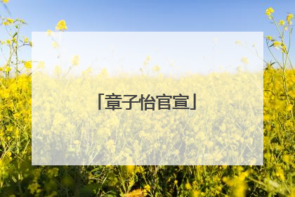 章子怡官宣