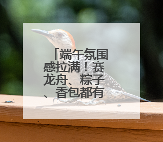端午氛围感拉满！赛龙舟、粽子、香包都有了新花样