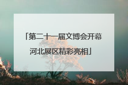 第二十一届文博会开幕 河北展区精彩亮相
