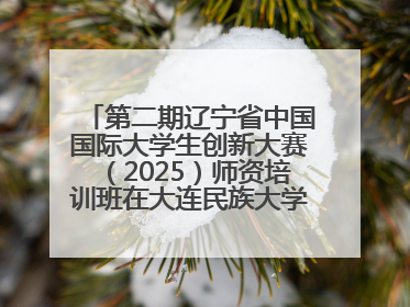 第二期辽宁省中国国际大学生创新大赛（2025）师资培训班在大连民族大学成功举办
