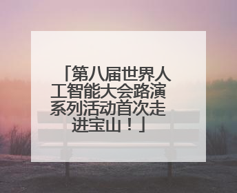 第八届世界人工智能大会路演系列活动首次走进宝山！