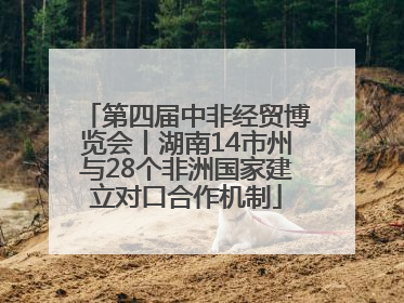 第四届中非经贸博览会丨湖南14市州与28个非洲国家建立对口合作机制