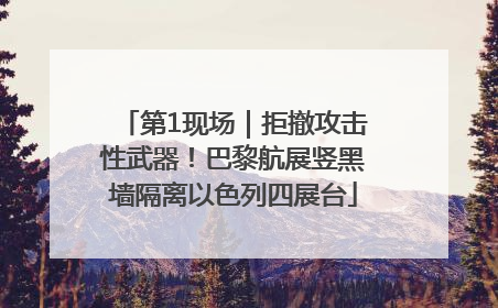 第1现场｜拒撤攻击性武器！巴黎航展竖黑墙隔离以色列四展台