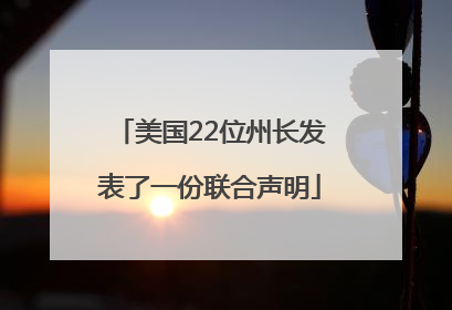 美国22位州长发表了一份联合声明