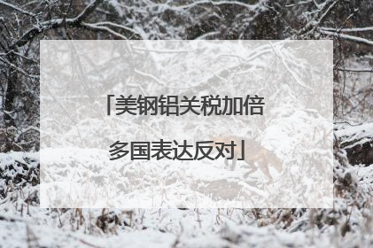 美钢铝关税加倍 多国表达反对