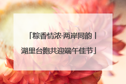 粽香情浓·两岸同韵丨湖里台胞共迎端午佳节