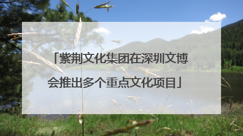 紫荆文化集团在深圳文博会推出多个重点文化项目