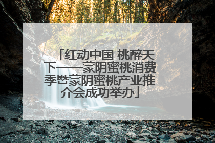 红动中国 桃醉天下——蒙阴蜜桃消费季暨蒙阴蜜桃产业推介会成功举办