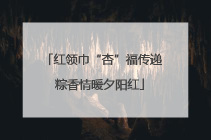 红领巾“杏”福传递 粽香情暖夕阳红