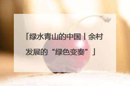绿水青山的中国丨余村发展的“绿色变奏”