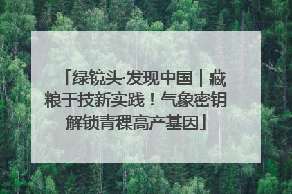 绿镜头·发现中国｜藏粮于技新实践！气象密钥解锁青稞高产基因