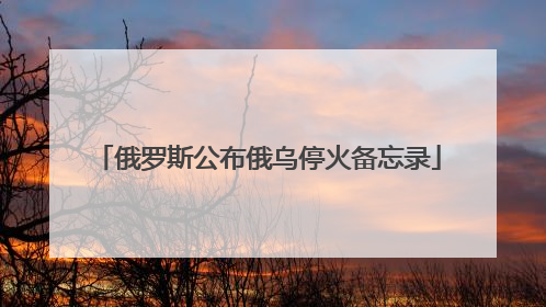 俄罗斯公布俄乌停火备忘录
