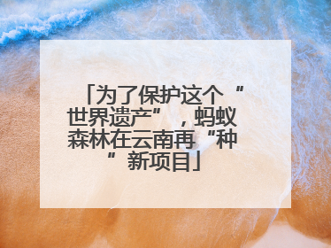 为了保护这个“世界遗产”，蚂蚁森林在云南再“种”新项目