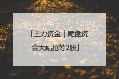 主力资金｜尾盘资金大幅抢筹2股