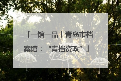 一馆一品丨青岛市档案馆：“青档资政”