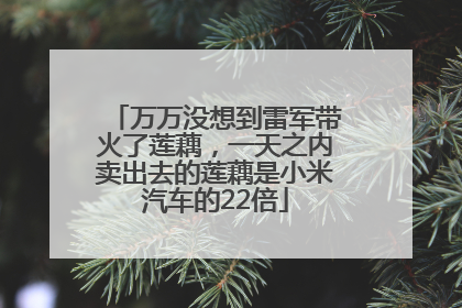 万万没想到雷军带火了莲藕，一天之内卖出去的莲藕是小米汽车的22倍
