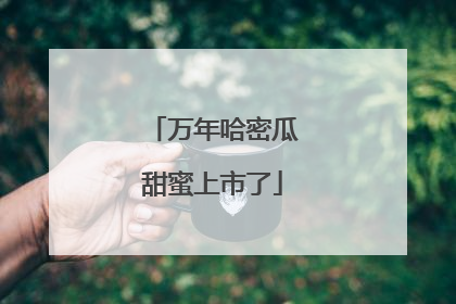 万年哈密瓜甜蜜上市了