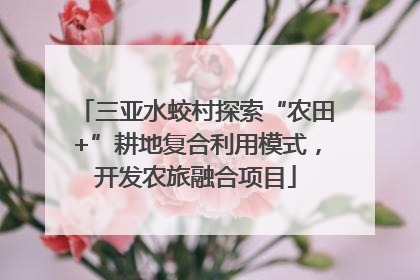 三亚水蛟村探索“农田+”耕地复合利用模式，开发农旅融合项目