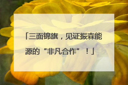 三面锦旗，见证振森能源的“非凡合作”！