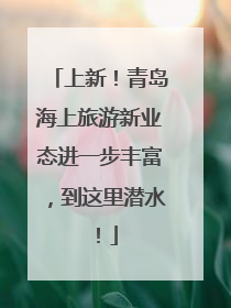 上新！青岛海上旅游新业态进一步丰富，到这里潜水！