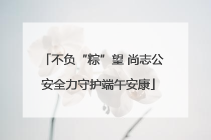 不负“粽”望 尚志公安全力守护端午安康