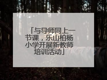与导师同上一节课，乐山柏杨小学开展新教师培训活动