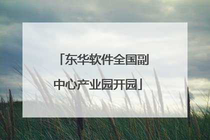 东华软件全国副中心产业园开园