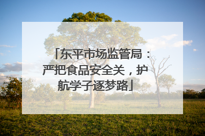 东平市场监管局：严把食品安全关，护航学子逐梦路