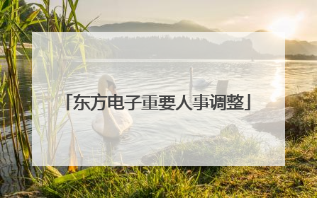 东方电子重要人事调整