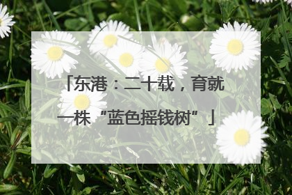 东港：二十载，育就一株“蓝色摇钱树”