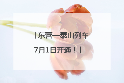 东营—泰山列车7月1日开通！