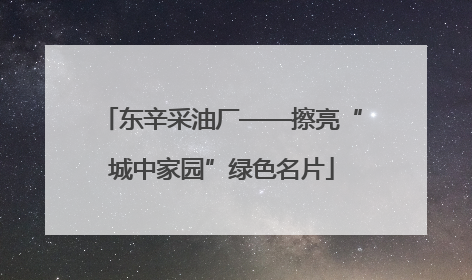 东辛采油厂——擦亮“城中家园”绿色名片