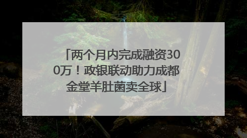 两个月内完成融资300万！政银联动助力成都金堂羊肚菌卖全球