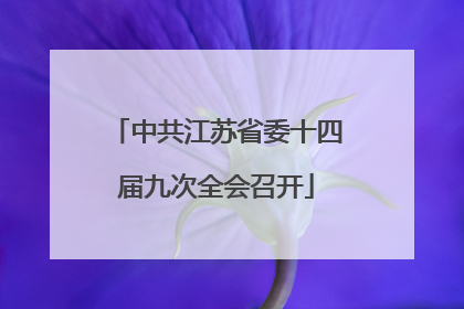 中共江苏省委十四届九次全会召开