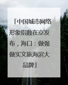 中国城市网络形象指数在京发布，海口：做强做实文旅海滨大品牌