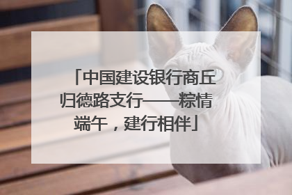 中国建设银行商丘归德路支行——粽情端午，建行相伴