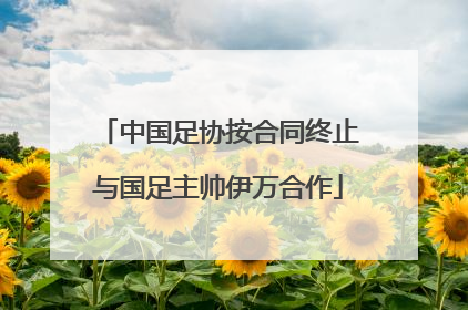 中国足协按合同终止与国足主帅伊万合作