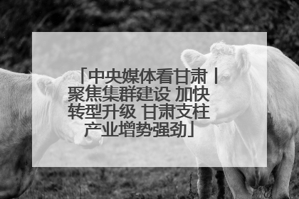 中央媒体看甘肃丨聚焦集群建设 加快转型升级 甘肃支柱产业增势强劲