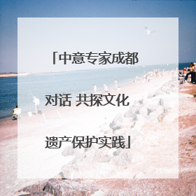 中意专家成都对话 共探文化遗产保护实践