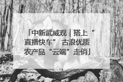 中新武威观｜搭上“直播快车” 古浪优质农产品“云端”走俏