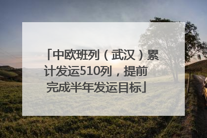 中欧班列（武汉）累计发运510列，提前完成半年发运目标