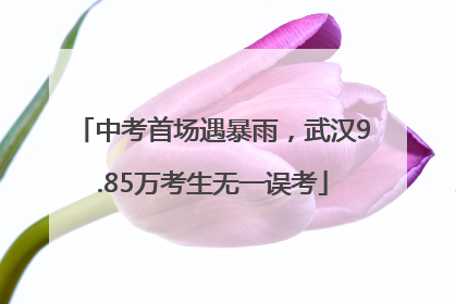 中考首场遇暴雨，武汉9.85万考生无一误考