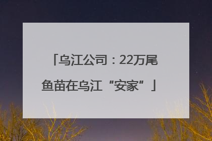 乌江公司：22万尾鱼苗在乌江“安家”