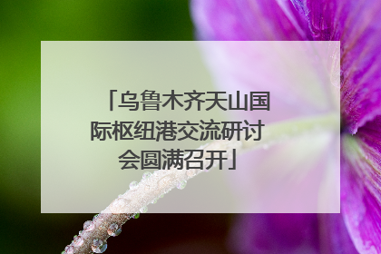 乌鲁木齐天山国际枢纽港交流研讨会圆满召开