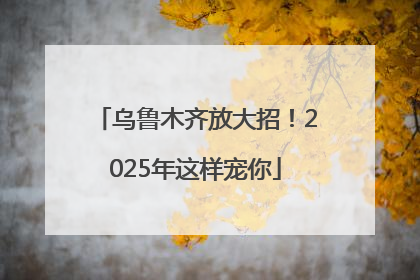 乌鲁木齐放大招！2025年这样宠你