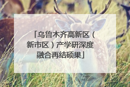 乌鲁木齐高新区（新市区）产学研深度融合再结硕果