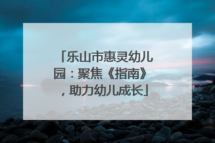 乐山市惠灵幼儿园：聚焦《指南》，助力幼儿成长