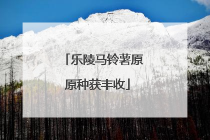 乐陵马铃薯原原种获丰收